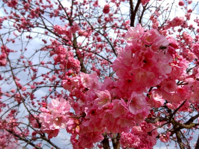 红米note3的拍照方法,红米note3不亮