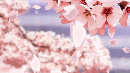 到底哪里才是12星座最不可辜负的樱花祭（上）