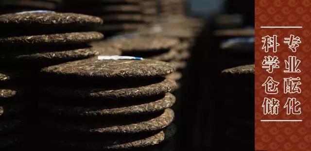 一杯好的茶需要沉淀,一杯好的茶叶