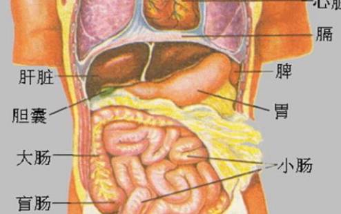 敲胆经的小窍门,敲胆经的正确方法和时间