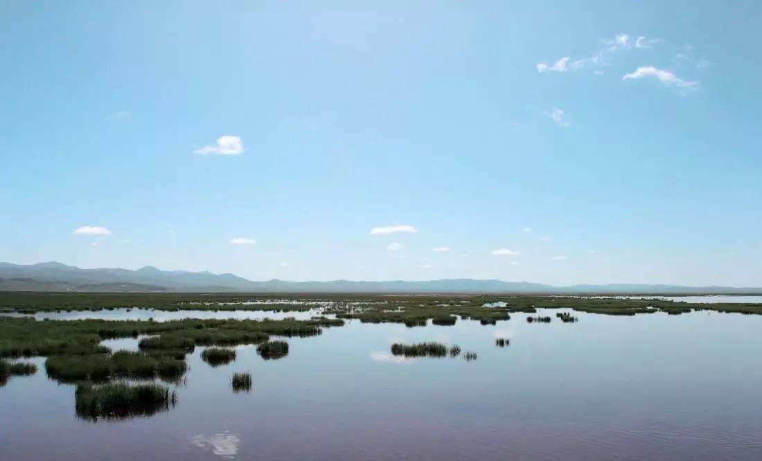 青海湖最省钱的攻略,青海湖最全攻略