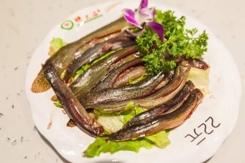 全场5折火锅,全场火锅菜品8.8折