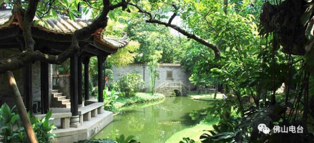 不是段子！非洲小哥竟然在中国被晒黑了！入伏以来，佛山的“热”情已彻底被激活……