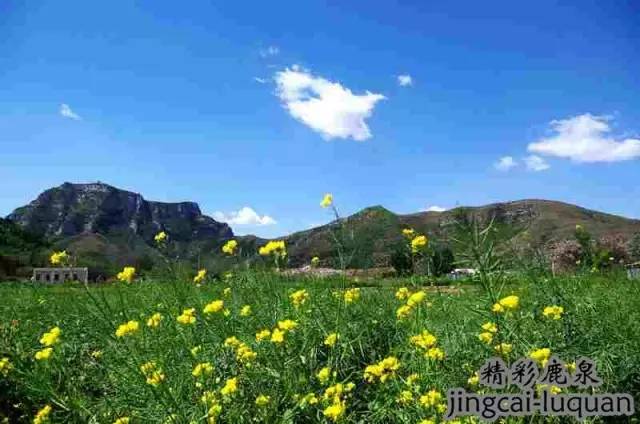 鹿泉空气质量,鹿泉未来发展最好的地方