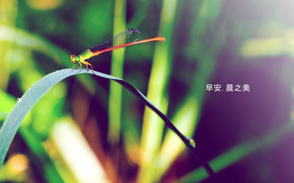 佛山一环限货时间表,佛山南庄大道最新货车限行时间