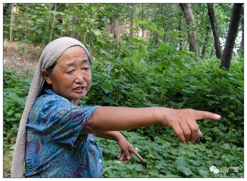 鹿邑八景旅游攻略,鹿邑灵光镇八景