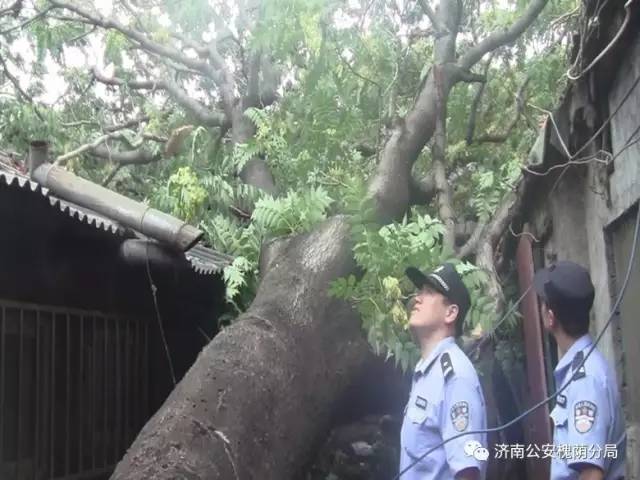 守护西部泉城槐荫基层警讯｜第四期