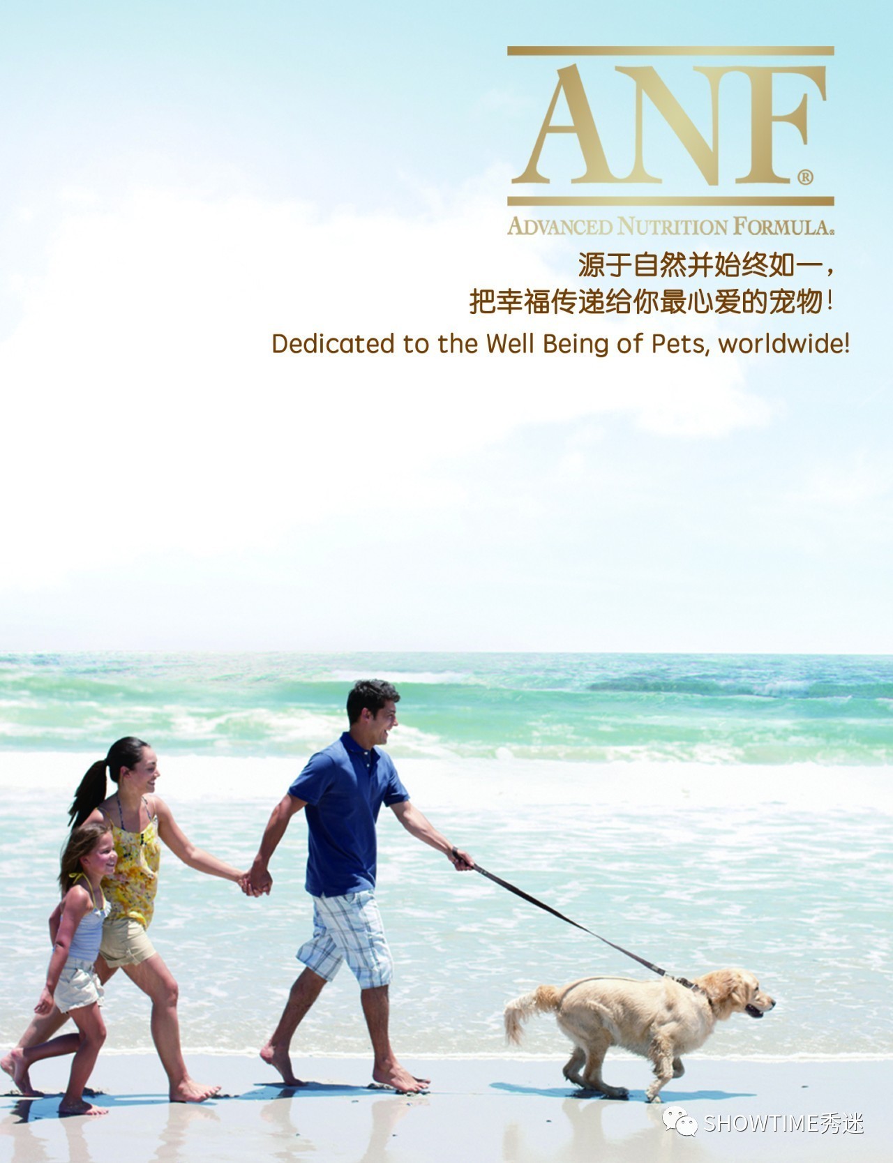 狗粮品牌系列展现设计,狗粮宣传设计