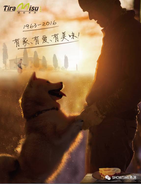 狗粮品牌系列展现设计,狗粮宣传设计