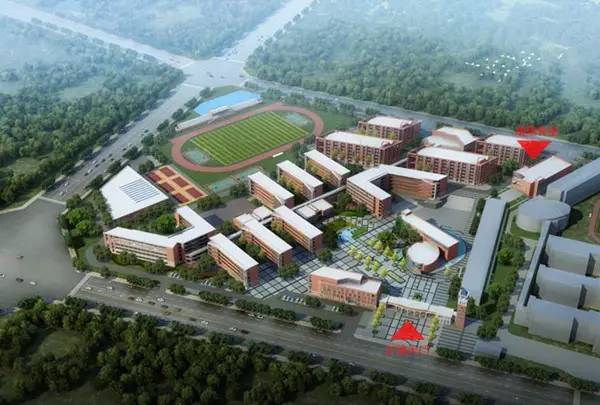 龙泉驿区大面学校规划,成都新增105所学校