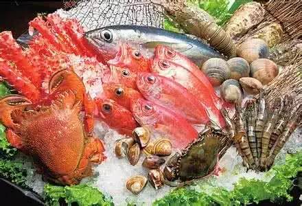 每日资讯热门速报,每日新闻速报最新消息