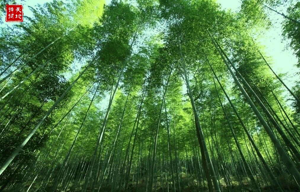 习习清风，朗朗明月