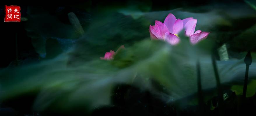 习习清风，朗朗明月