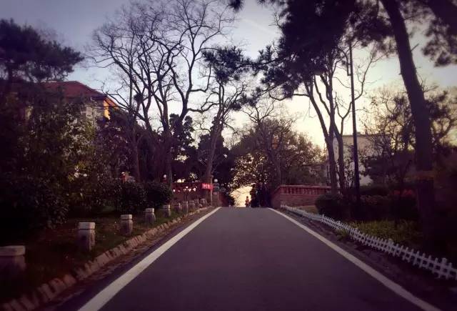 城事|青岛人都不知道，原来八大关还有这么大的秘密