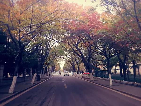 城事|青岛人都不知道，原来八大关还有这么大的秘密