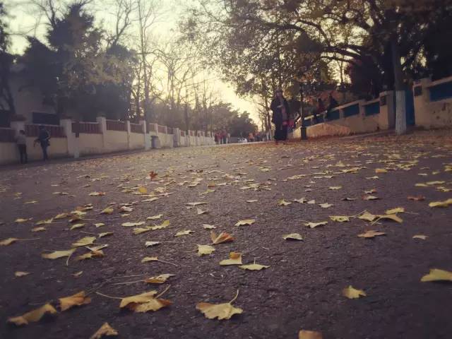 城事|青岛人都不知道，原来八大关还有这么大的秘密