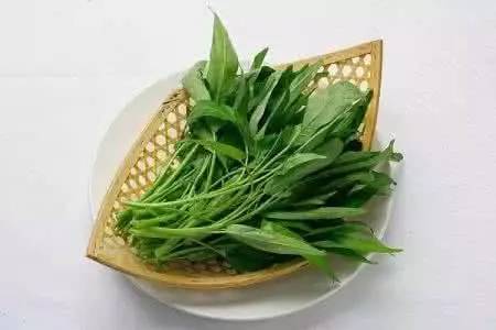 每日资讯热门速报,每日新闻速报最新消息