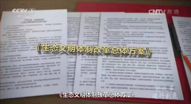 检察机关全力守护绿水青山,守护绿水青山检察官