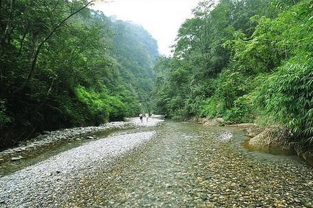 暑假生活这才是童年真实的样子,小时候你们是怎么过暑假的