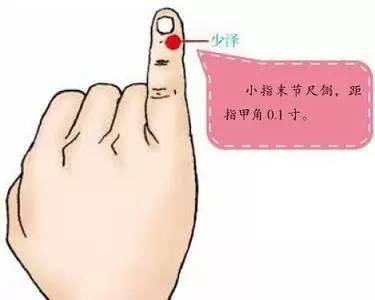 奶水是气血生成的吗,气血补上来奶水就多吗