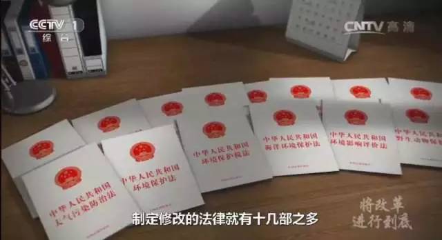 检察机关全力守护绿水青山,守护绿水青山检察官