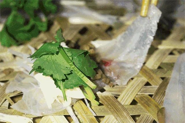 南宁暑天好去处,热得快炸了避暑好地方