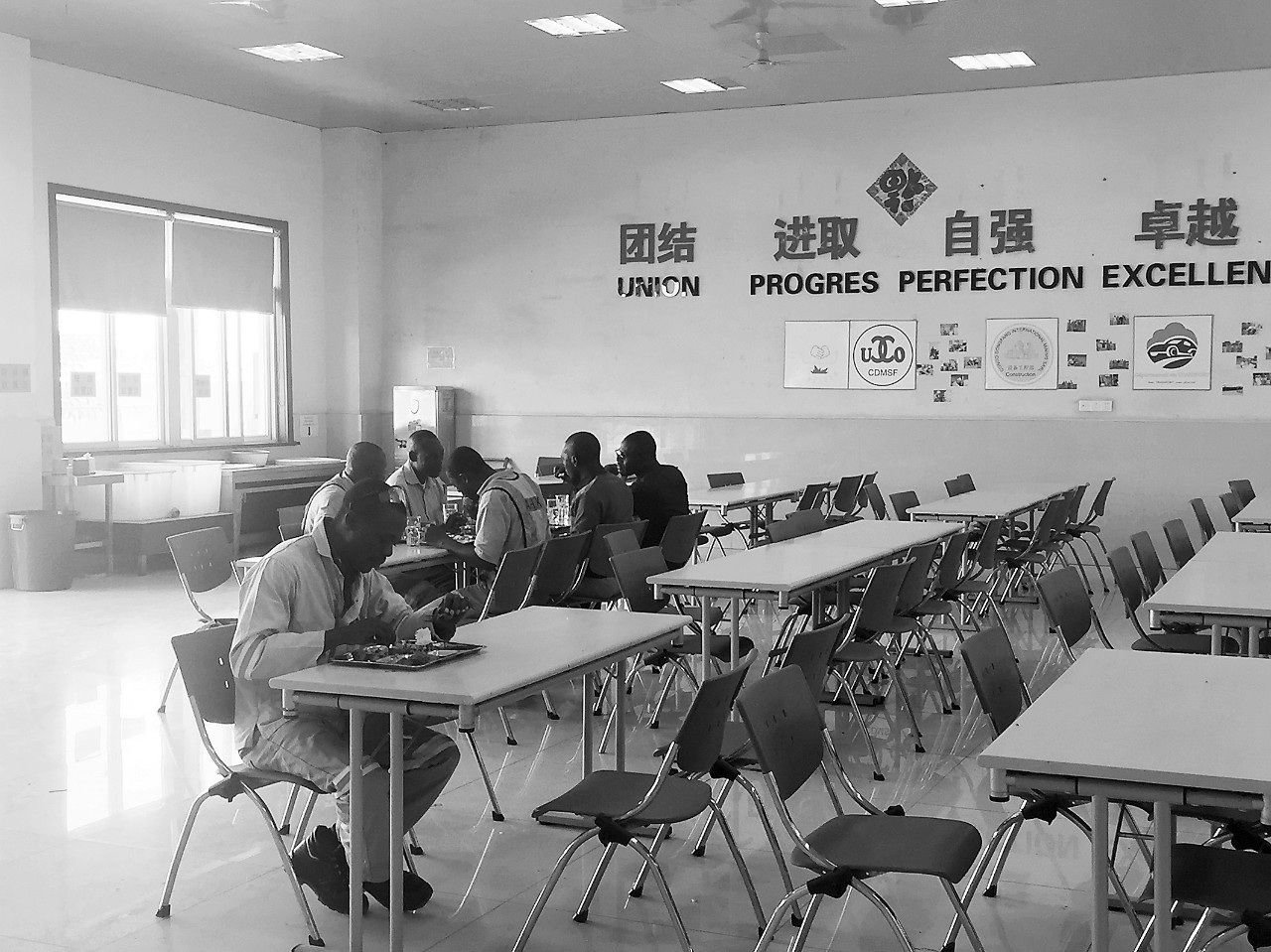 在刚果金的电台里听《死了都要爱》，是怎样的感受？