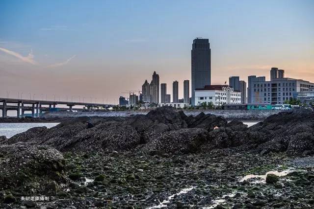 旅大印象黑石礁店怎么走,大连黑石礁旅大印象