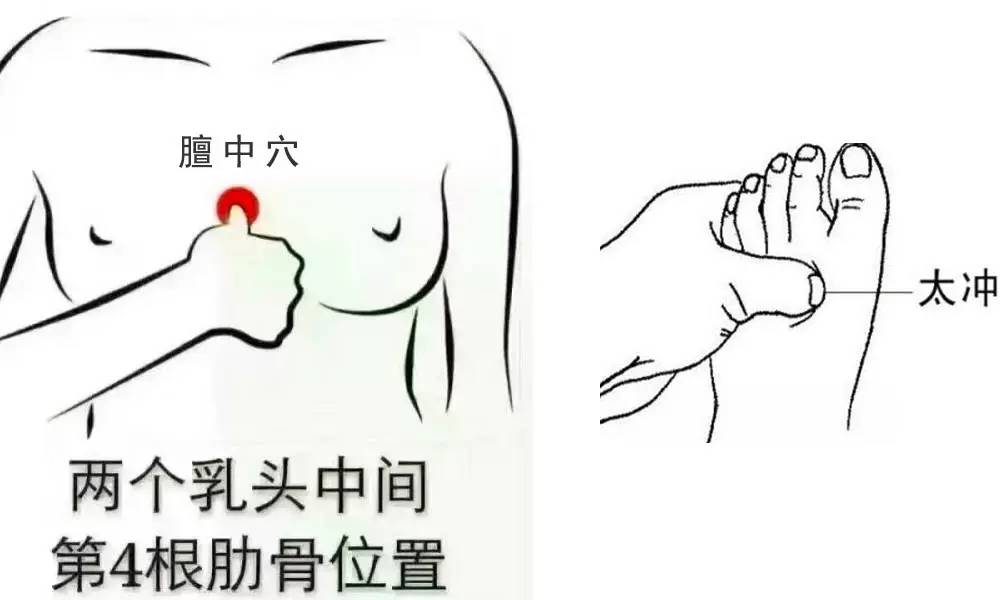 奶水是气血生成的吗,气血补上来奶水就多吗