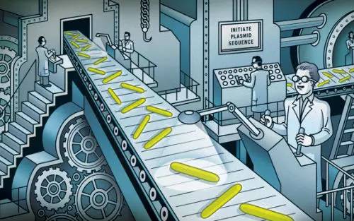 炎症性肠道疾病治疗方法,核心肠道微生物