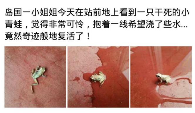 日常聊聊乐——2017年7月29日