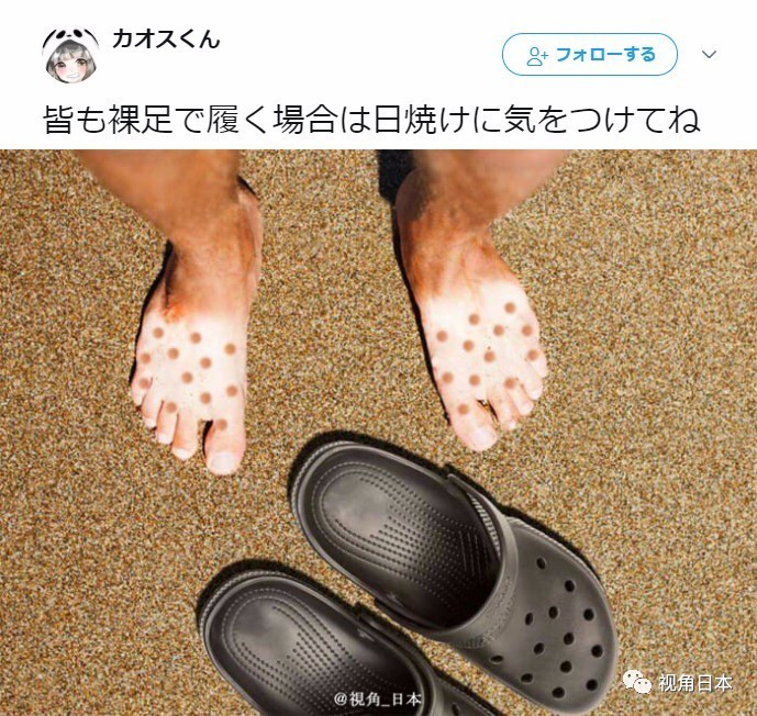 趣闻四则如果直接复印蹲在复印机上的猫奇迹复活的青蛙