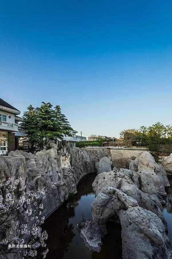 旅大印象黑石礁店怎么走,大连黑石礁旅大印象