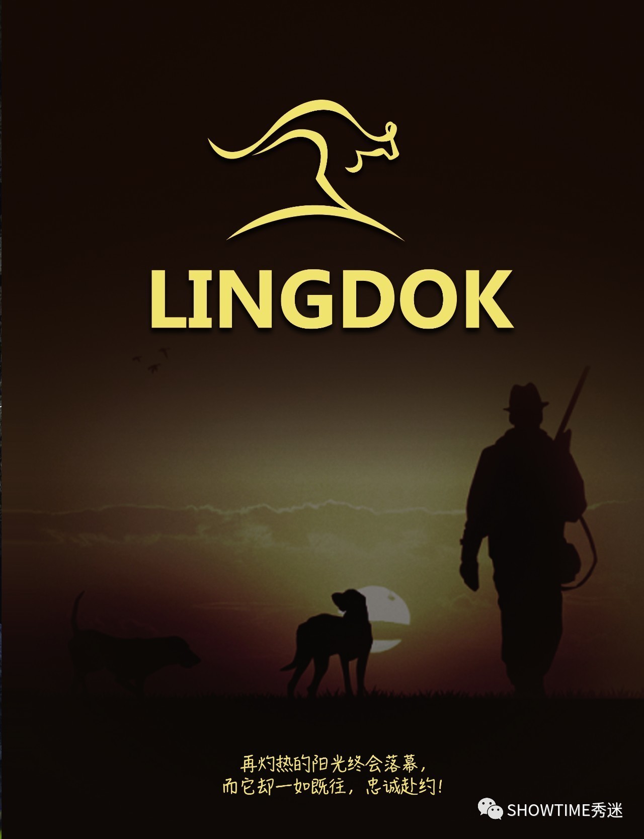 狗粮品牌系列展现设计,狗粮宣传设计