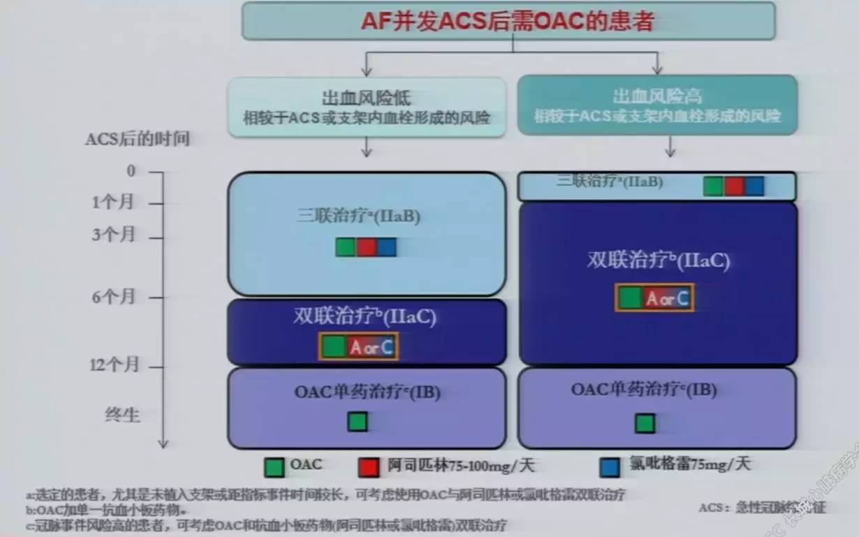冠心病合并房颤的抗栓指南,房颤合并冠脉支架的抗栓治疗指南