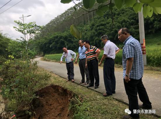 肇庆市旅游局最新通知,肇庆旅游局