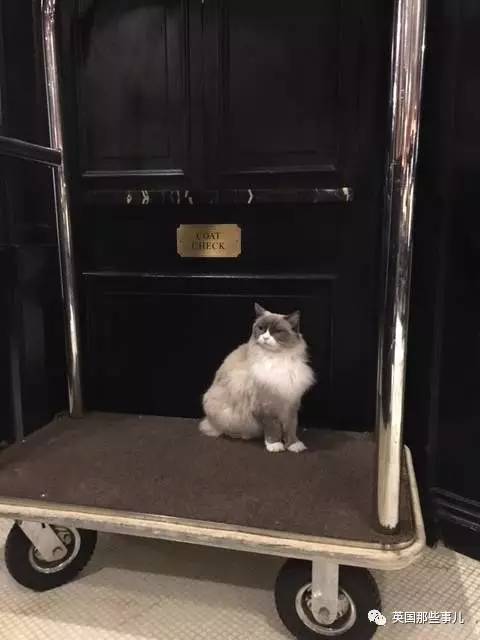 在职7年的喵掌柜终于退休，勤勤恳恳主动加班……对接任的也是放心不下啊……