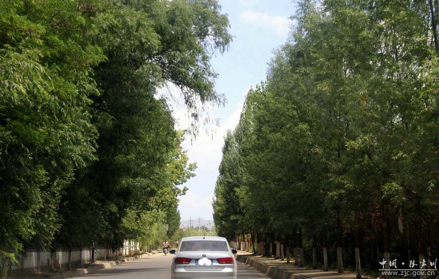 推进农村垃圾治理建设宜居乡村,美丽乡村垃圾治理建设项目