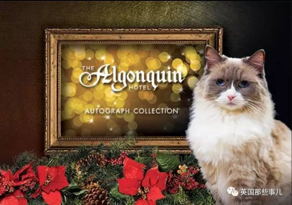 在职7年的喵掌柜终于退休，勤勤恳恳主动加班……对接任的也是放心不下啊……