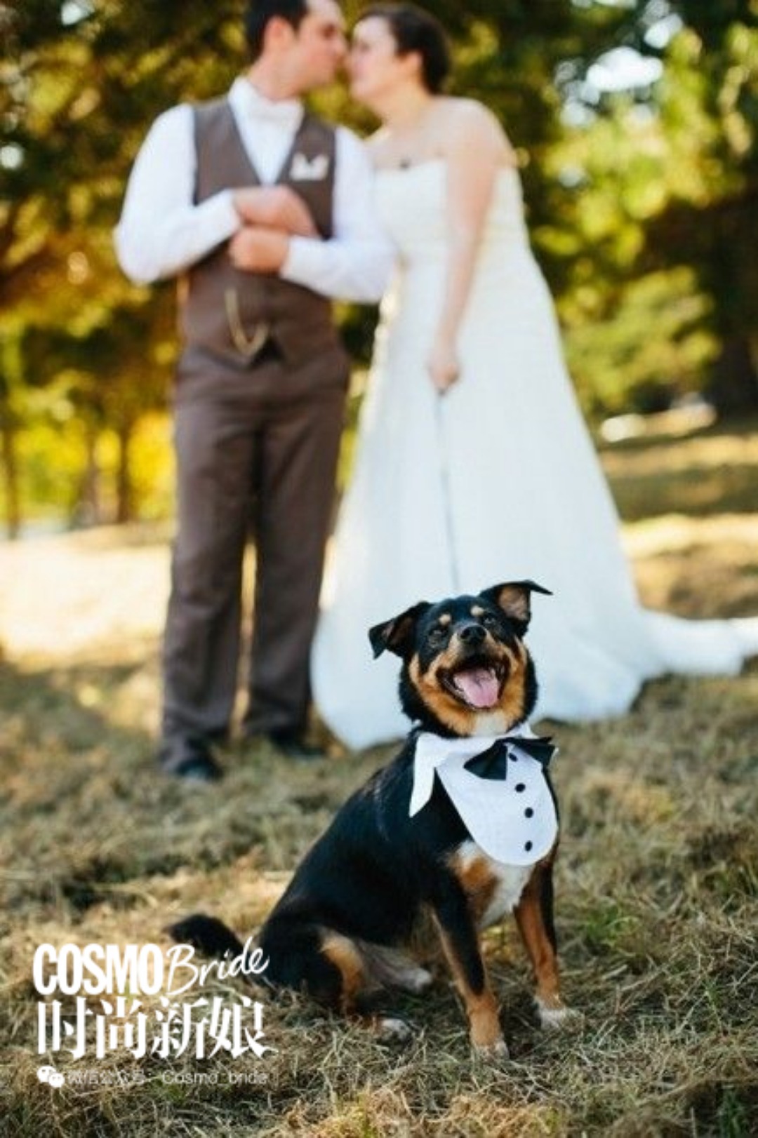 森系婚礼高级简约,清新自然的森系婚礼风格