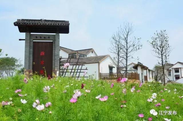 快看！这么完美的江宁，你还不来？