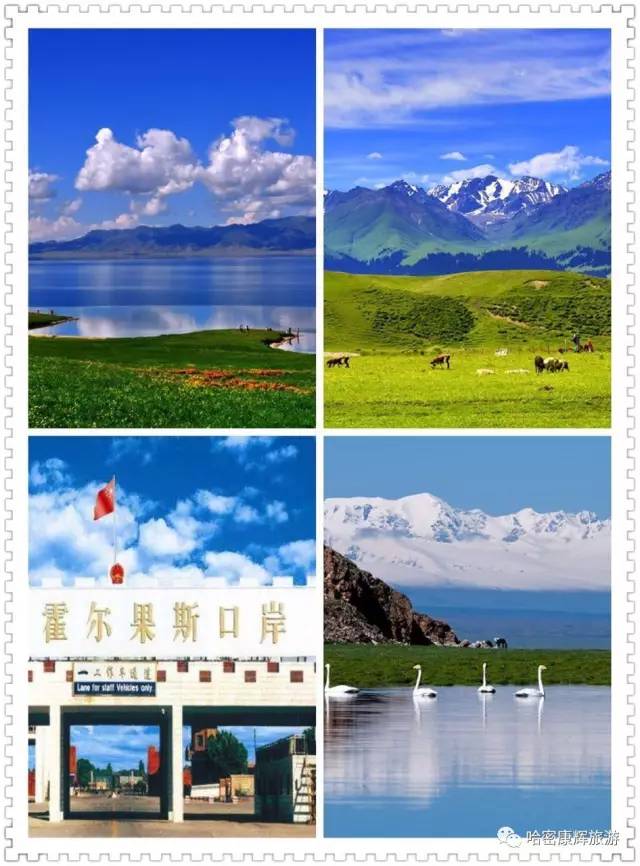 美绝了！全哈密的人都往这里跑~