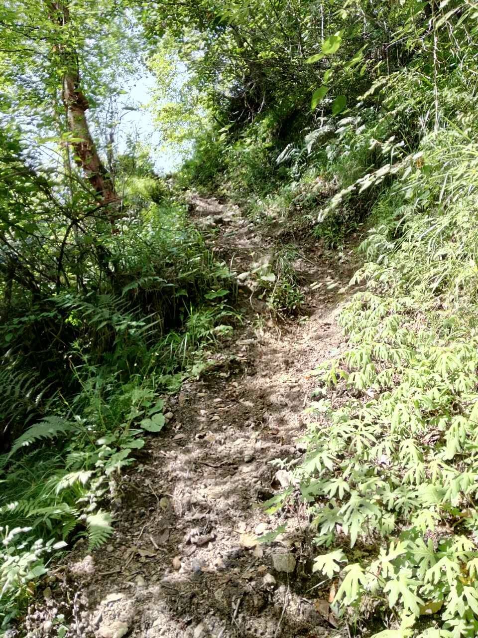 户外小白成长记,户外小白进阶课