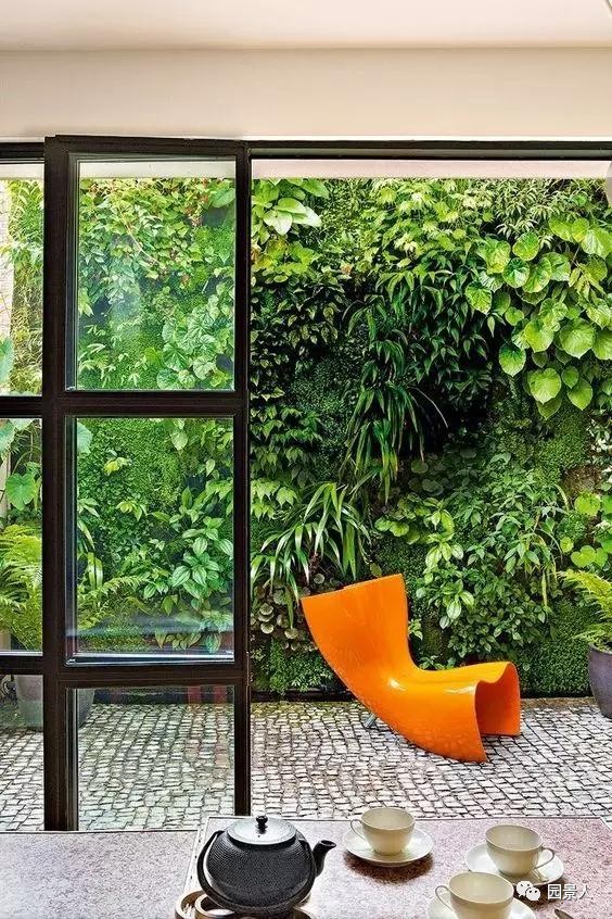 一说到垂直绿化，脑袋里就蹦出他，他，他（附失败案例经验总结）