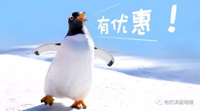 孩子去极地馆总是玩不够？现在一家三口无限次畅游只要650元｜还有机会抢免费门票