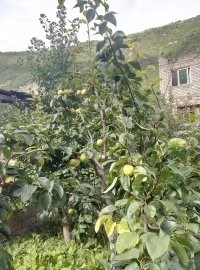 户外小白成长记,户外小白进阶课