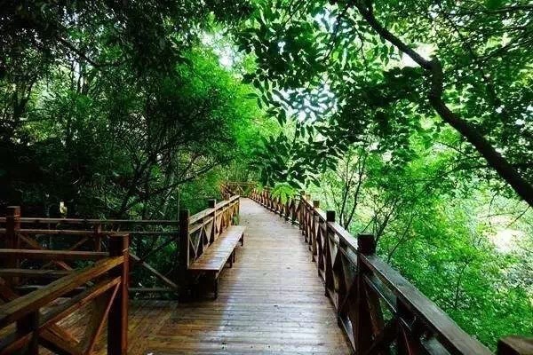 东风韵和可邑小镇哪个好玩,可邑民族文化生态旅游村