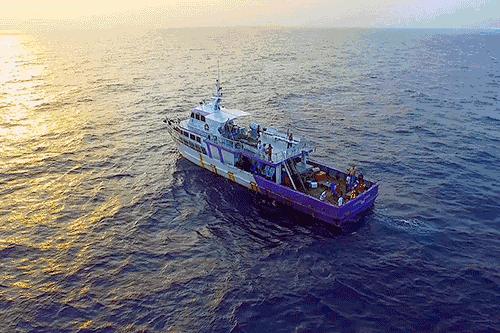 舟山海钓许可证怎么申请,舟山海钓证如何申请