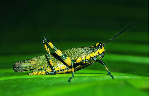 紧致臀腿曲线，这一招“塑”战速决｜体式精讲