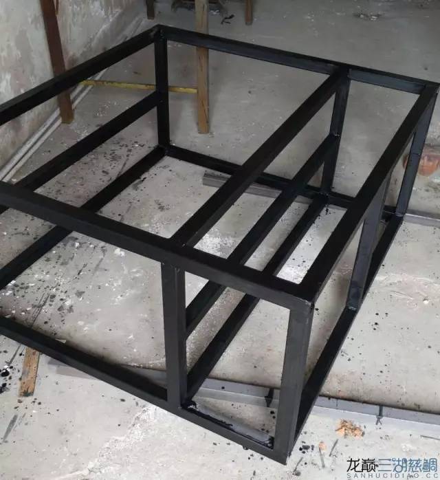 从零开始原生缸,从零开始造景缸